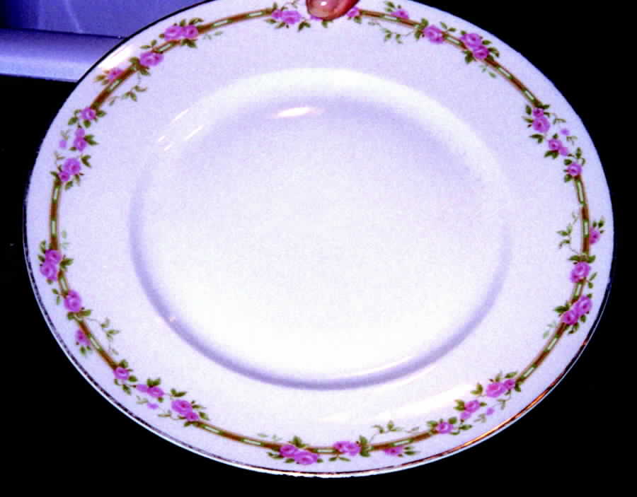 BER383 Dinner Plate by Bernardaud-1