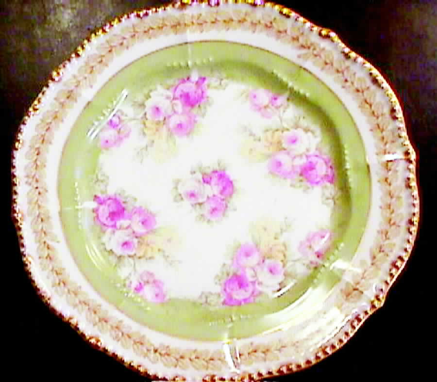 BWD420 Dinner Plate by Bawo & Dotter-1