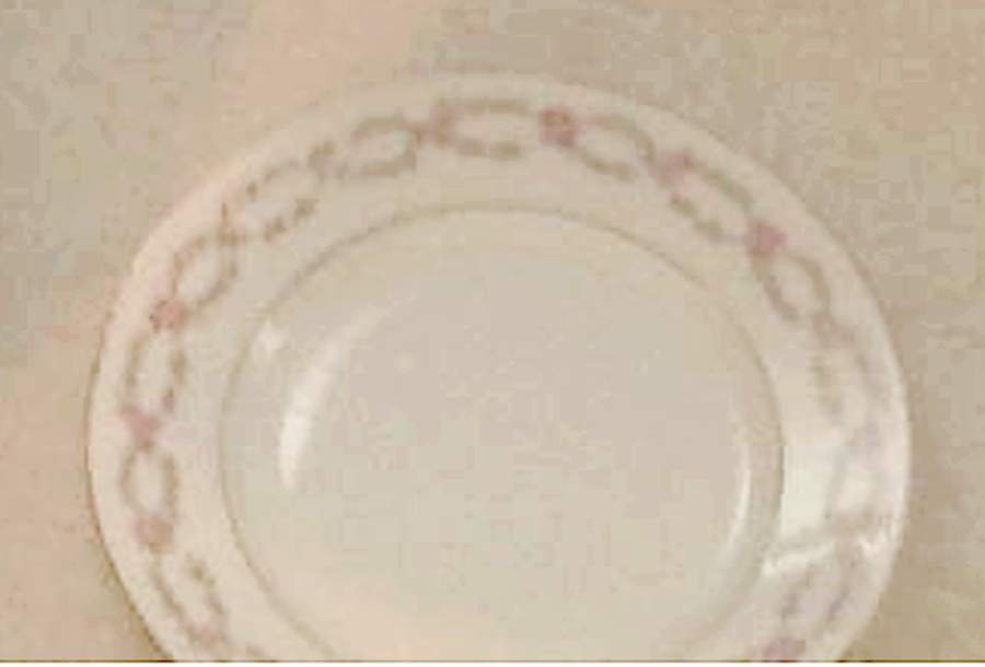 Ber388 Dinner Plate by Bernardaud-1