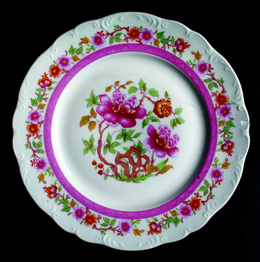 BYY1 Dinner Plate by Berry (France)-1