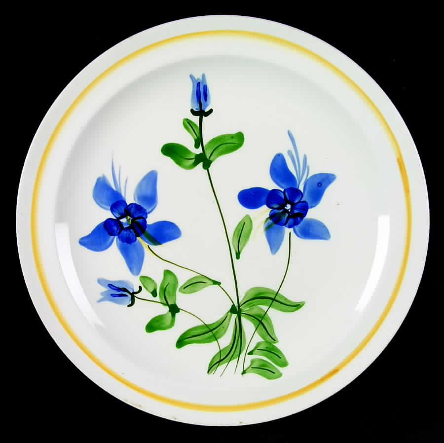 BRP106 Dinner Plate by Blue Ridge Southern Pottery-1
