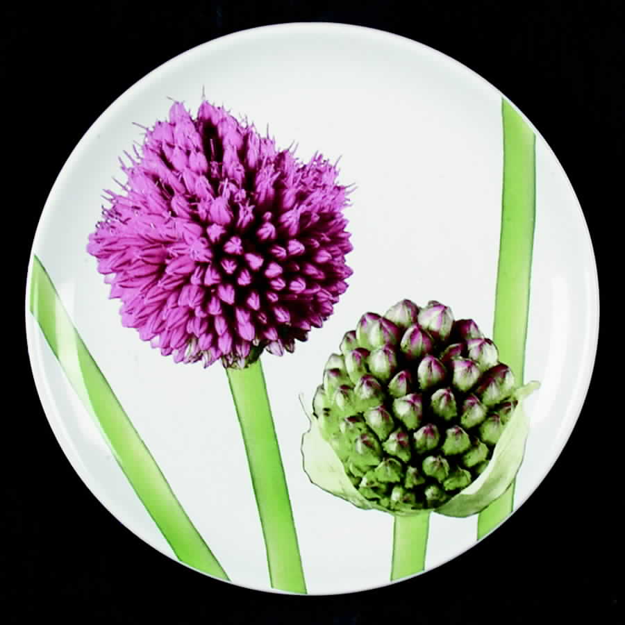 BNA6 Salad Plate by Bernarda-1
