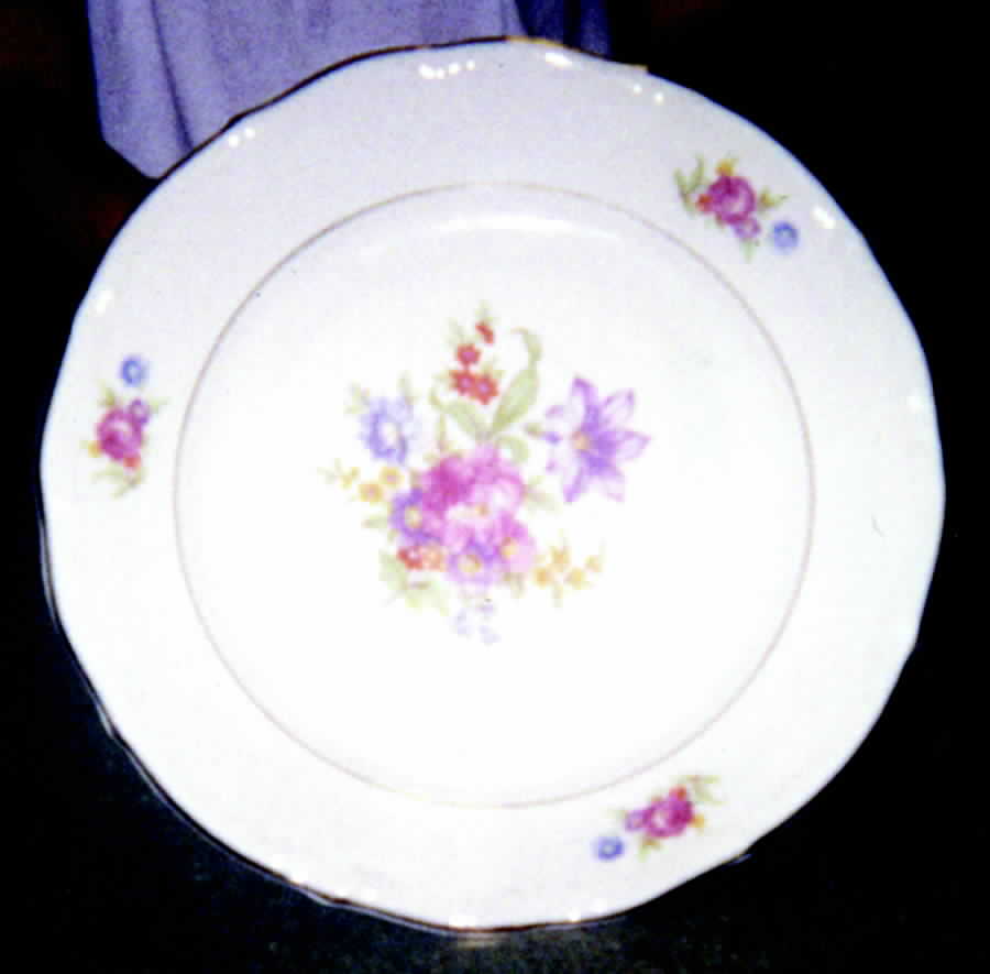 Old Meissen Dinner Plate by Baum Brothers-1