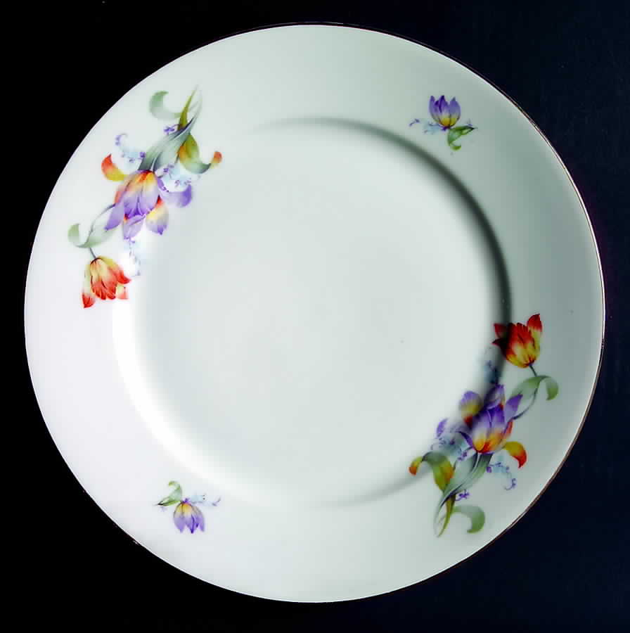 BAV212 Dinner Plate by Bavaria-1