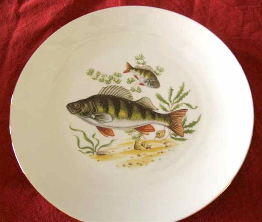 BTH150 Dinner Plate by Bareuther & Co-1