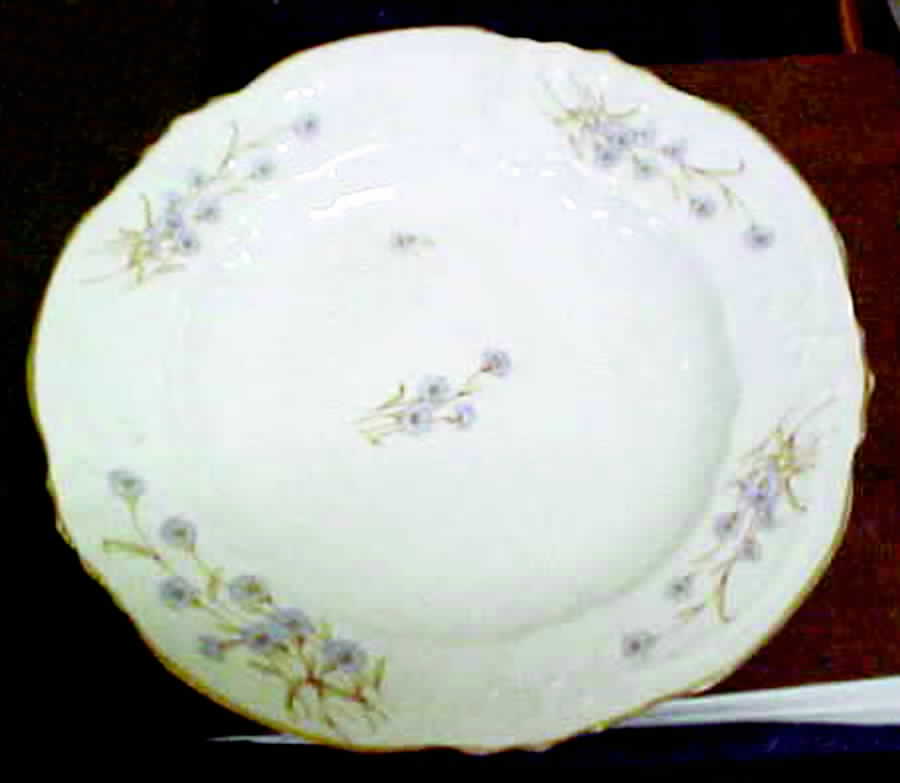 BWD455 Dinner Plate by Bawo & Dotter-1
