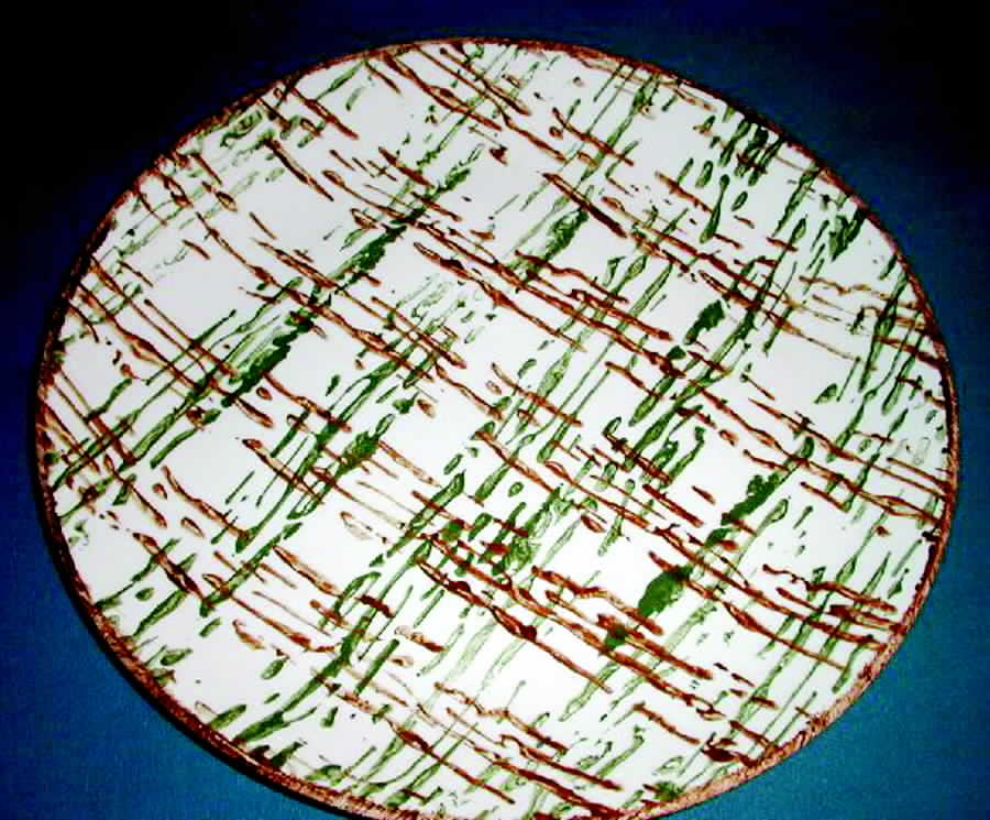 Scatter Plaid Dinner Plate by Blue Ridge Southern Pottery-1