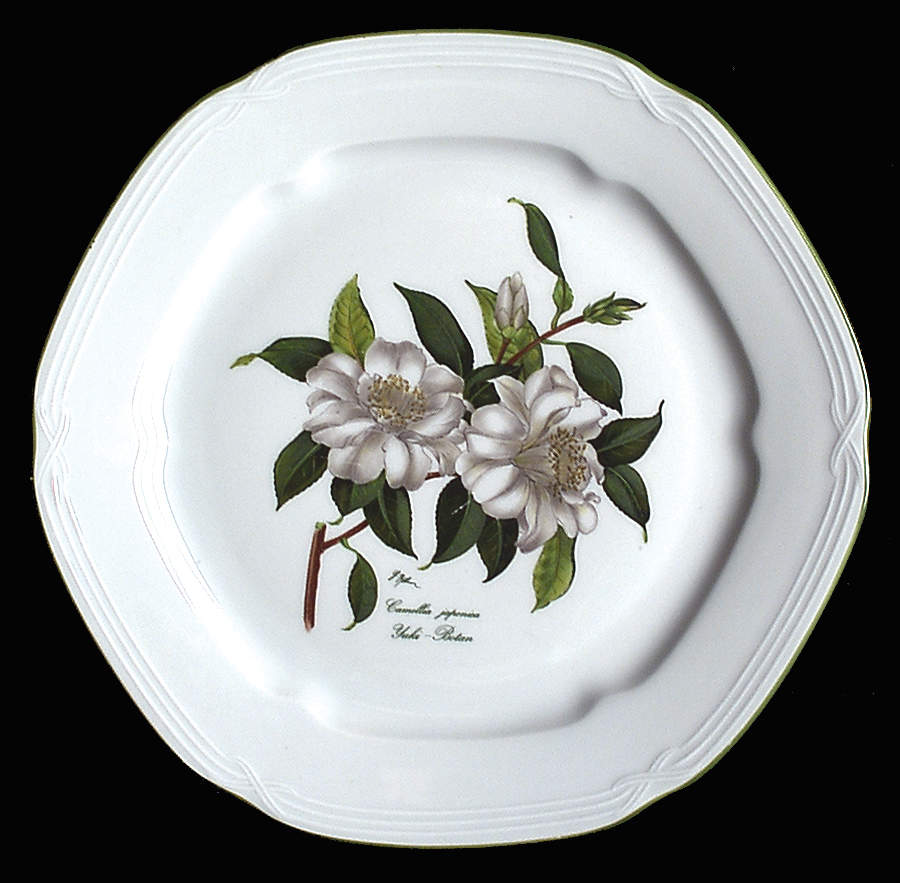 Camellia Japonica Dinner Plate by Bareuther & Co-1
