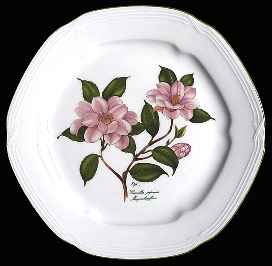 Camellia Japonica Dinner Plate by Bareuther & Co-1