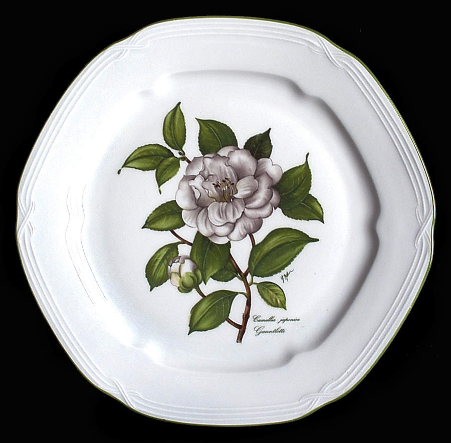 Camellia Japonica Dinner Plate by Bareuther & Co-1