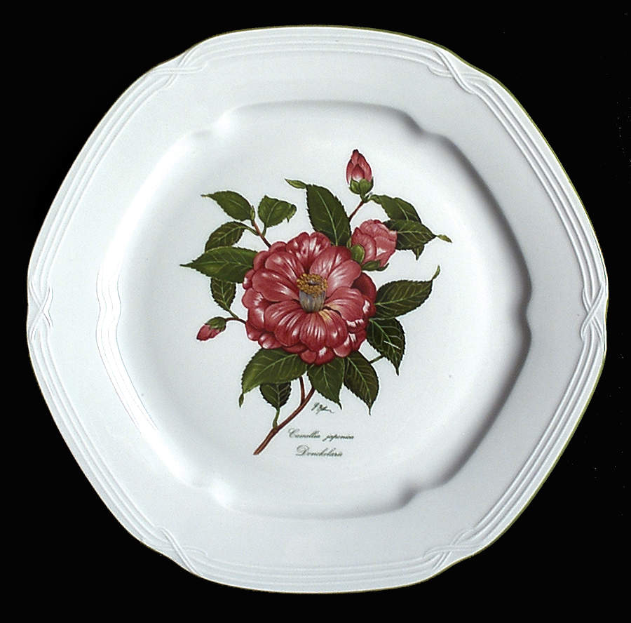 Camellia Japonica Dinner Plate by Bareuther & Co-1