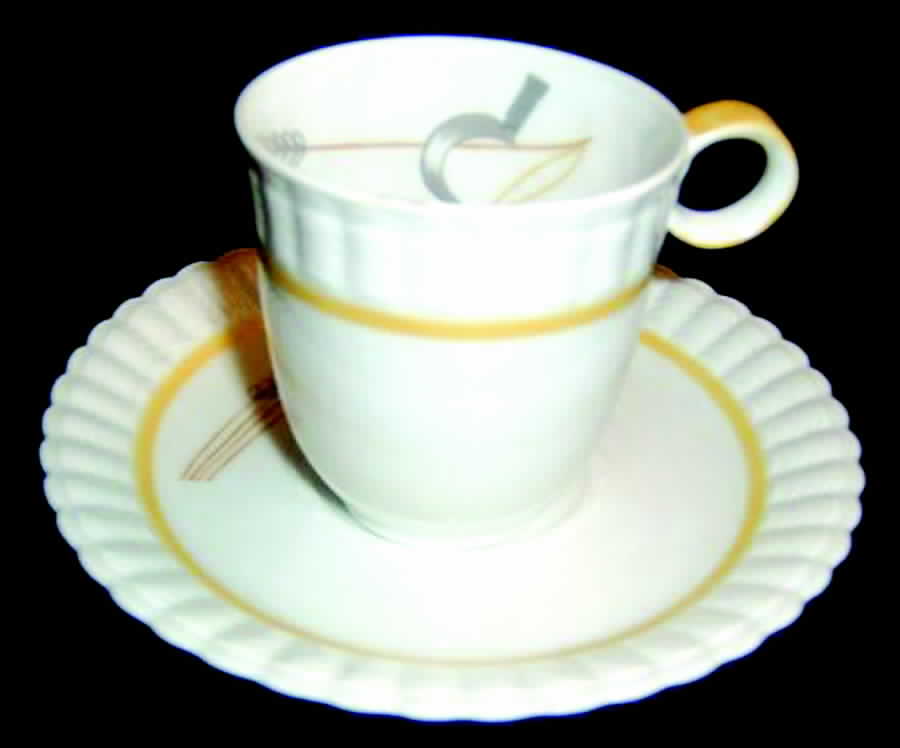 BER425 Flat Cup & Saucer Set by Bernardaud-1