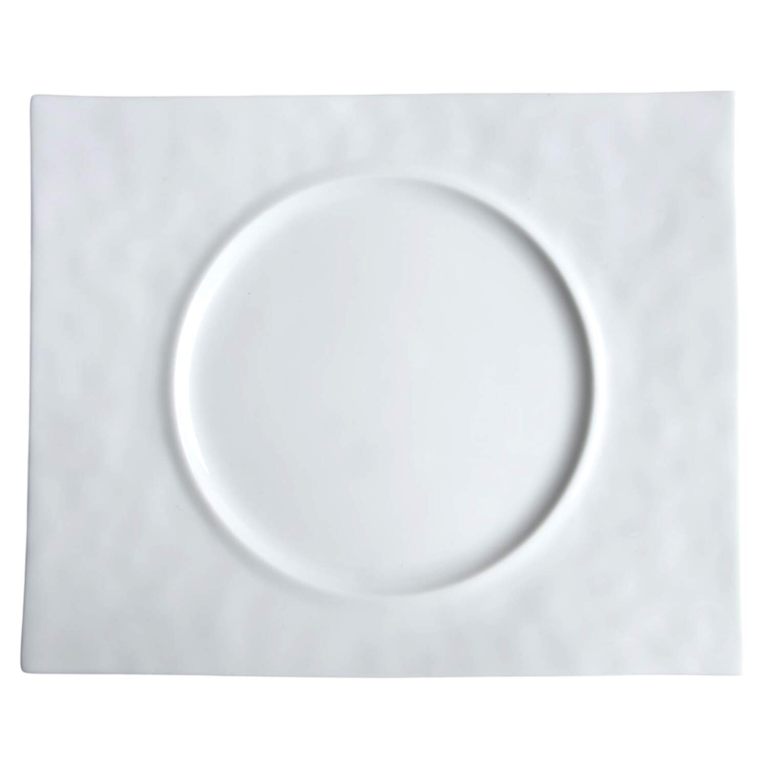 Digital 12" Rectangular Plate by Bernardaud-1
