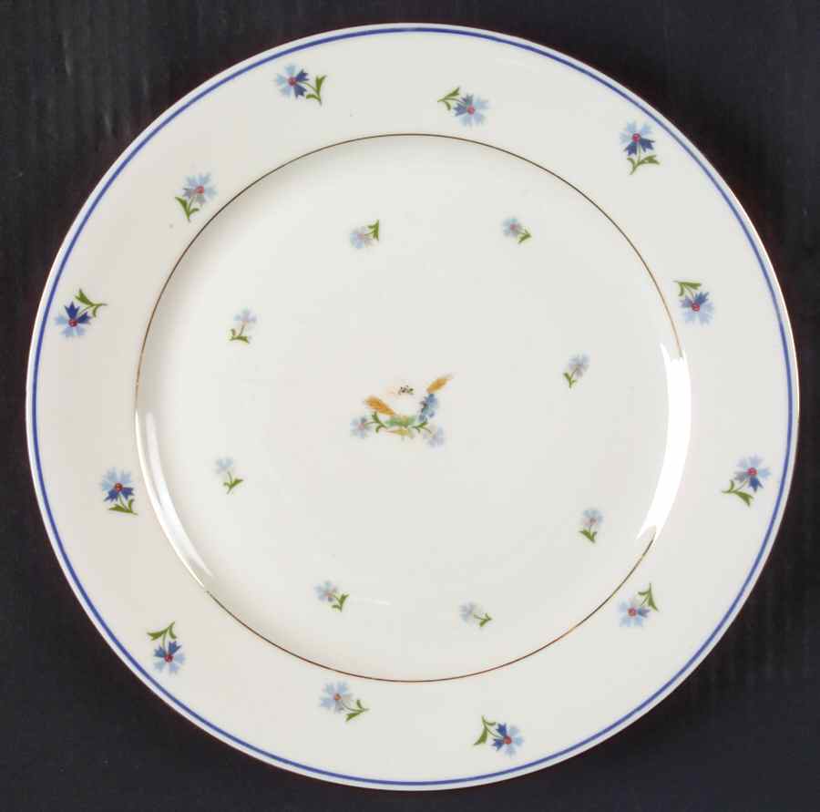 BAR62 Dinner Plate by Baronet-1