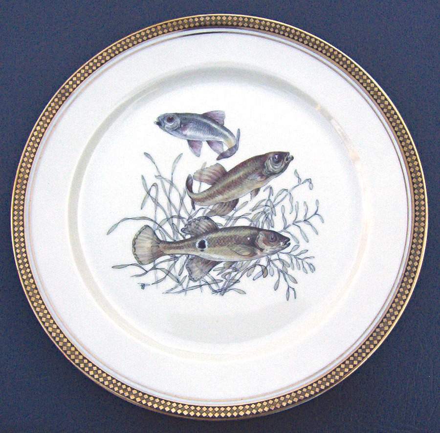 BAV234 Dinner Plate by Bavaria-1