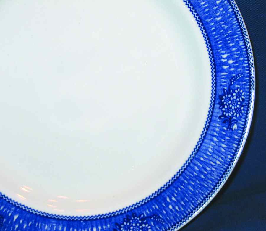 Dawn Salad Plate by Bishop & Stonier-1