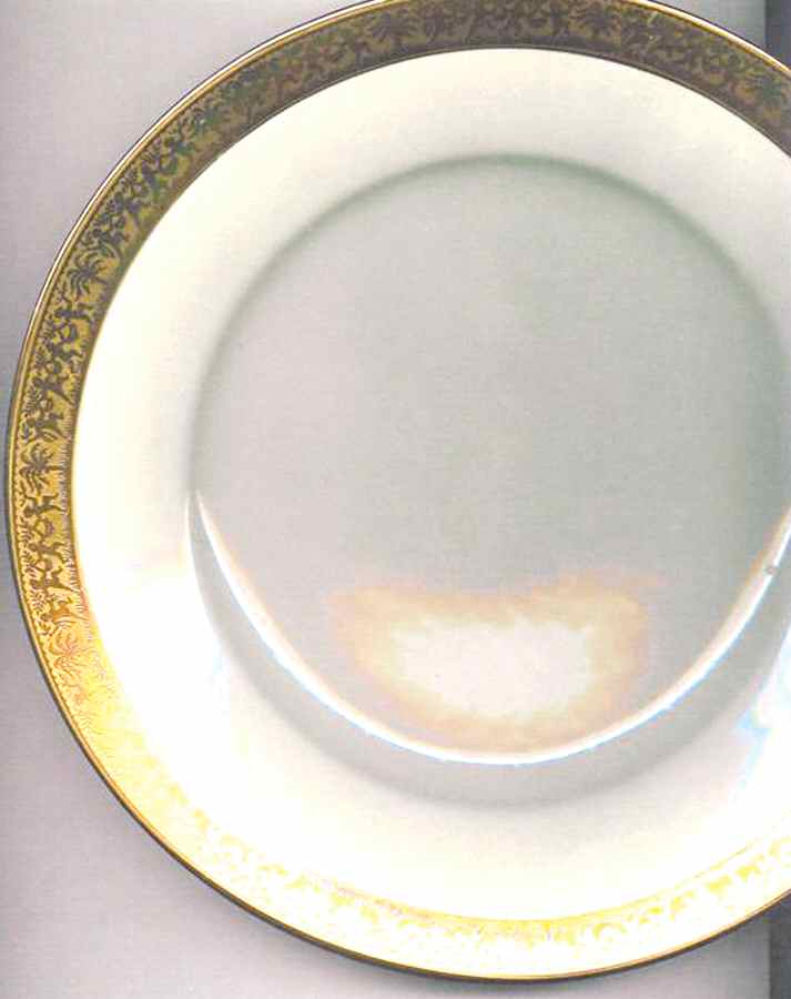 BAV243 Dinner Plate by Bavaria-1