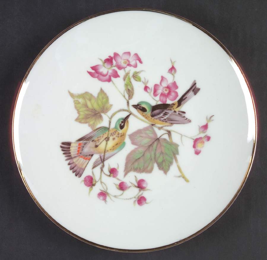 Debra (Birds) Smooth Salad Plate by Bavaria-1