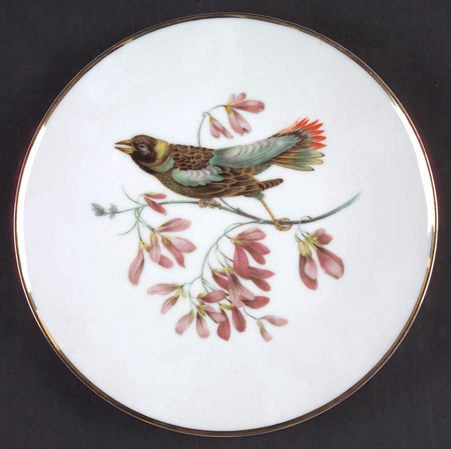 Debra (Birds) Smooth Salad Plate by Bavaria-1