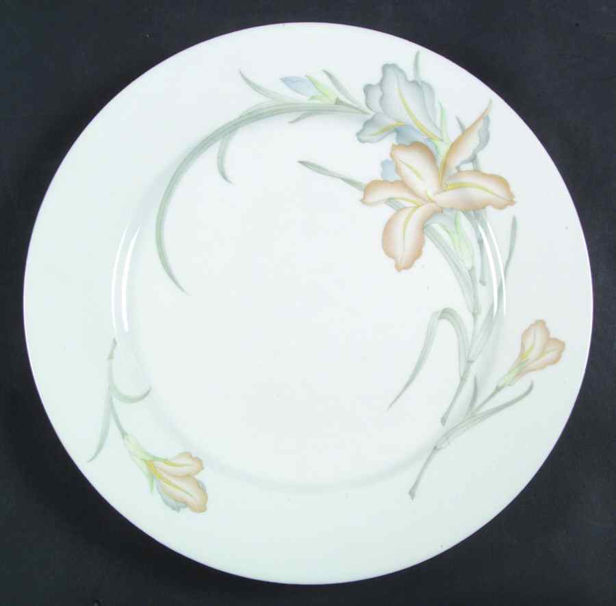 BAU43 Dinner Plate by Baum Brothers-1