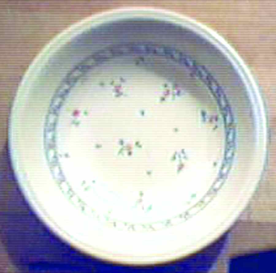BIL31 Coupe Cereal Bowl by Biltons Ltd-1