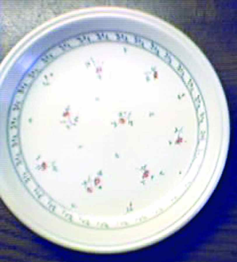 BIL31 Dinner Plate by Biltons Ltd-1