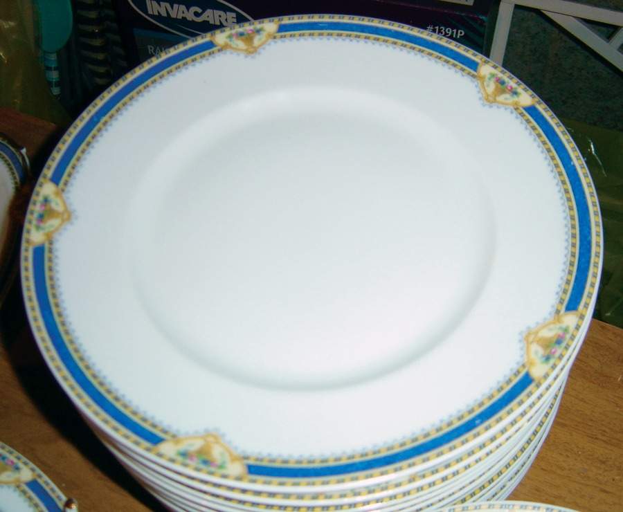 BER460 Dinner Plate by Bernardaud-1