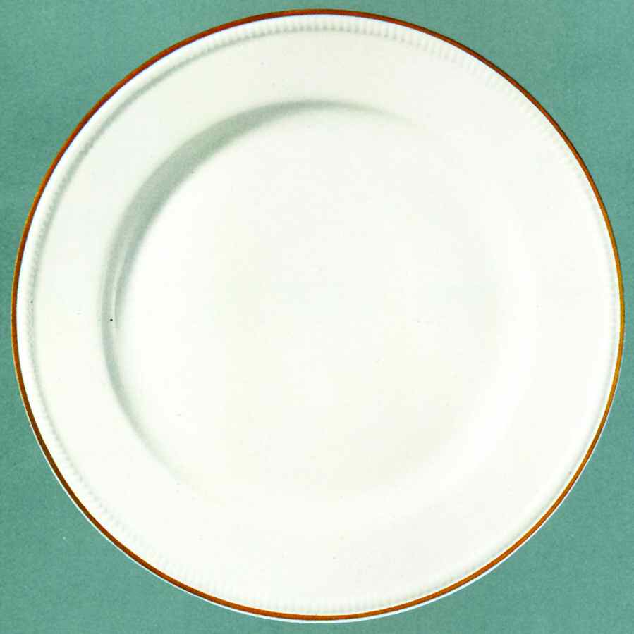 Raspail Dinner Plate by Bernardaud-1