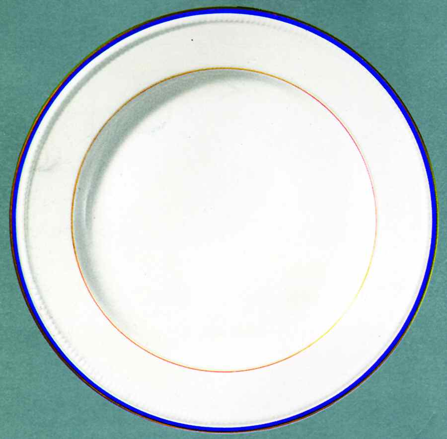 Reichstadt Blue Dinner Plate by Bernardaud-1