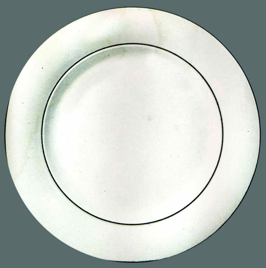 Carthage Dinner Plate by Bernardaud-1