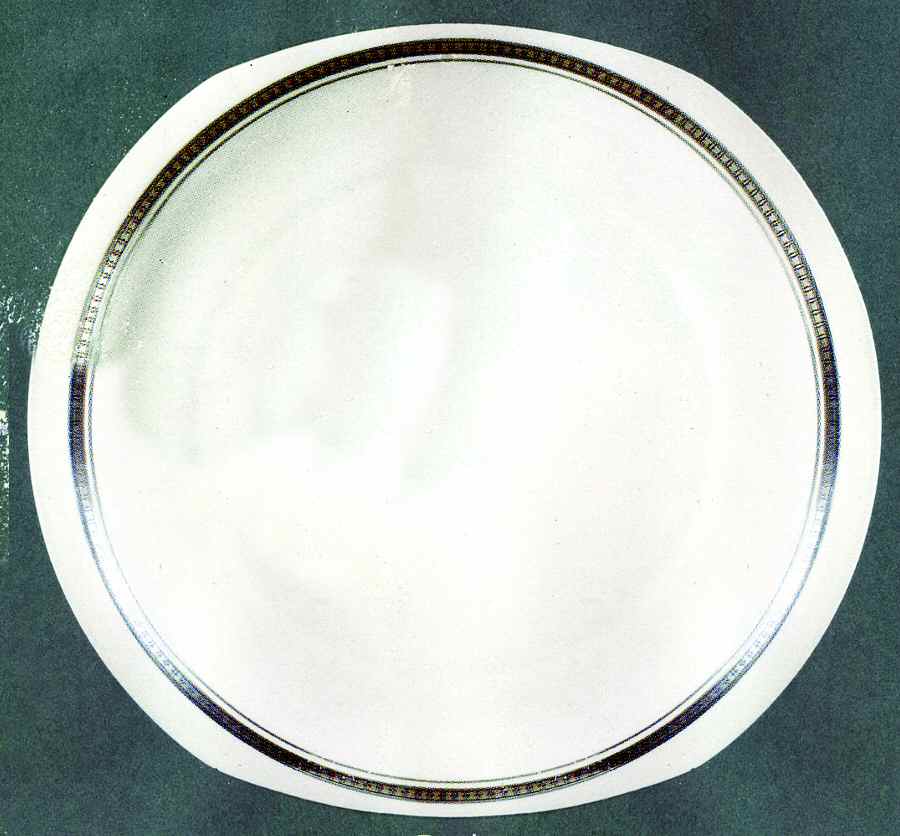 Parly Dinner Plate by Bernardaud-1