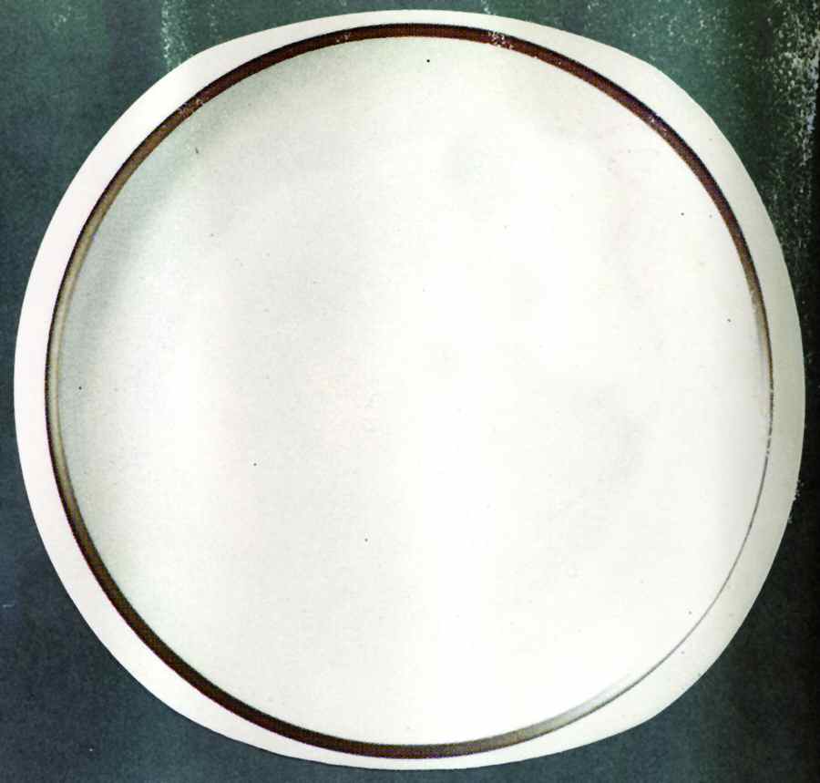 Callisto Dinner Plate by Bernardaud-1