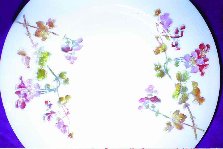 BWD512 Dinner Plate by Bawo & Dotter-1