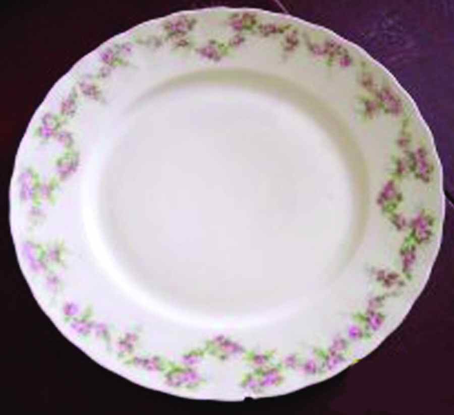 BWD513 Dinner Plate by Bawo & Dotter-1