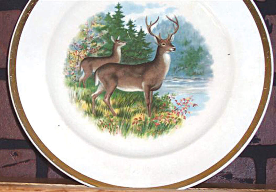BUF122 Dinner Plate by Buffalo Pottery-1