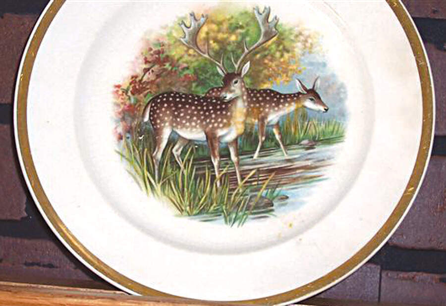 BUF122 Dinner Plate by Buffalo Pottery-1