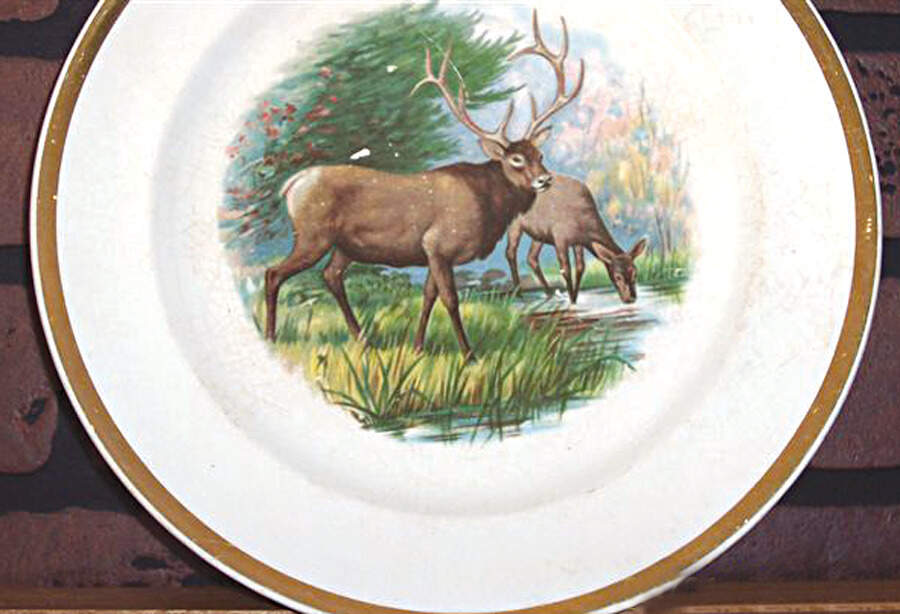 BUF122 Dinner Plate by Buffalo Pottery-1