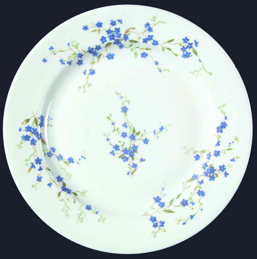 Myosotis (Smooth) Salad Plate by Bernardaud-1