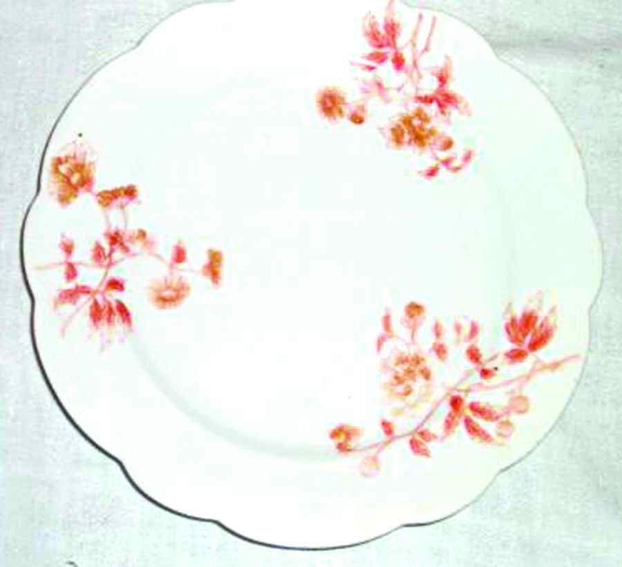 4000 Dinner Plate by BMS China-1