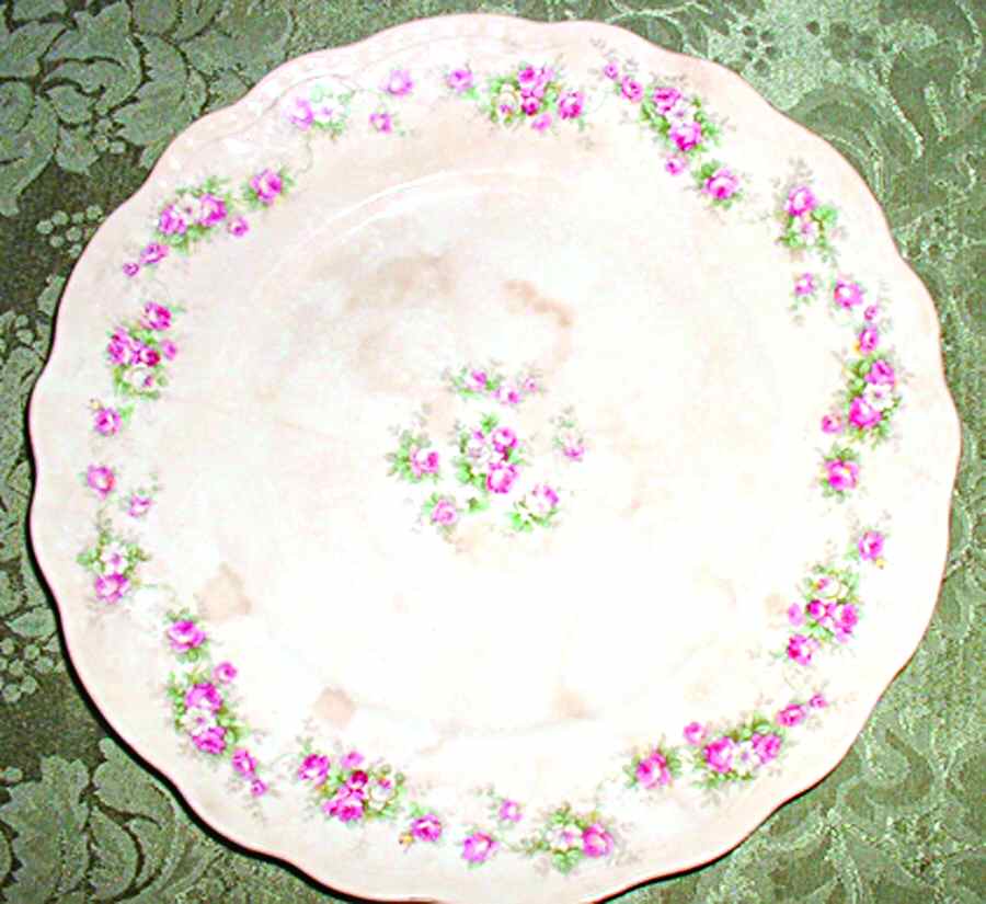 BUF126 Dinner Plate by Buffalo Pottery-1