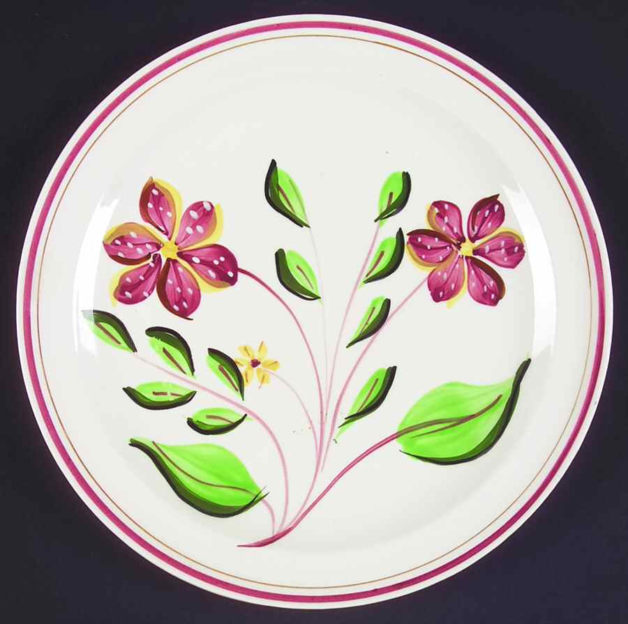 Tiger Eye Dinner Plate by Blue Ridge Southern Pottery-1