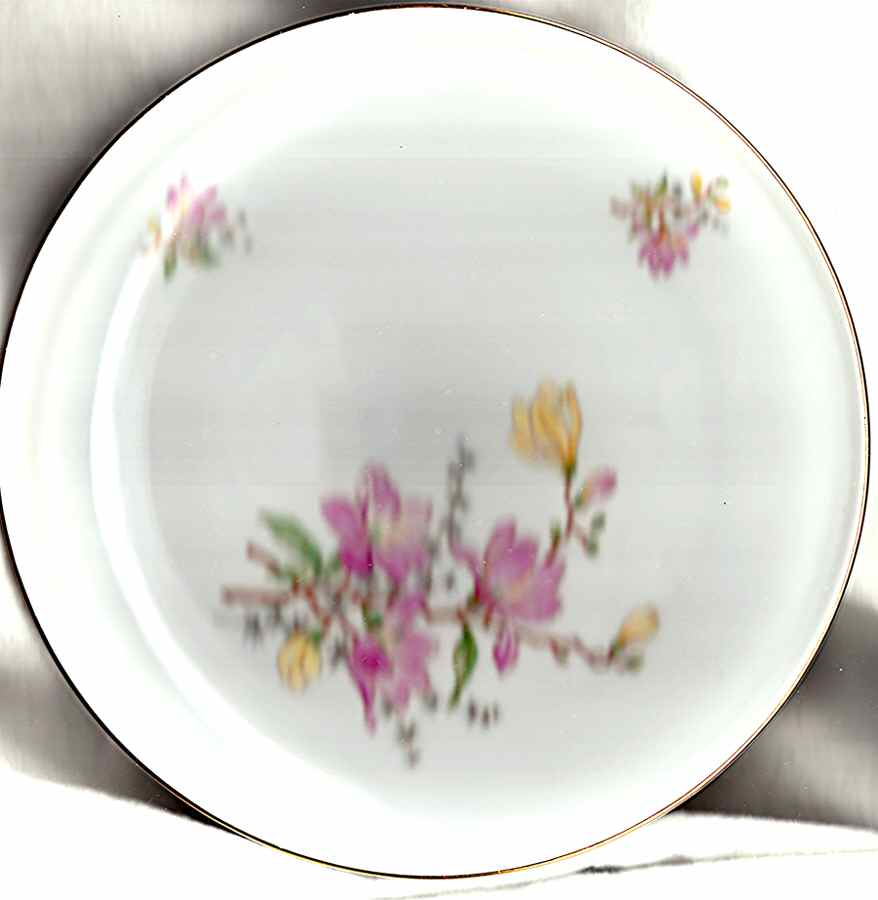 P1192 Salad Plate by Baronet-1