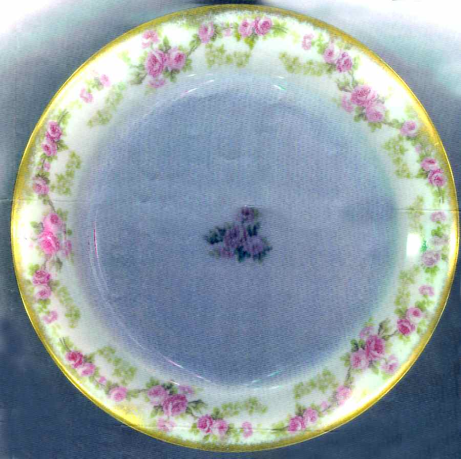 BWD552 Dinner Plate by Bawo & Dotter-1