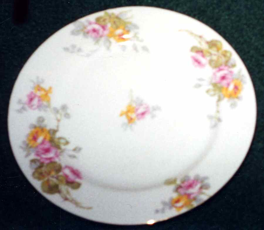 BWD553 Dinner Plate by Bawo & Dotter-1