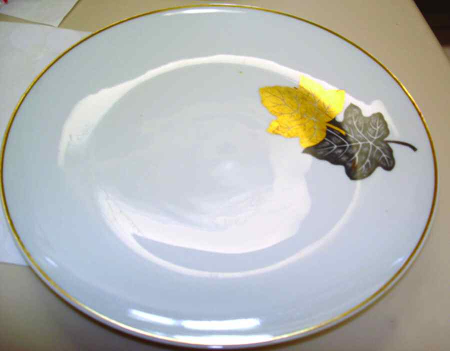 BER495 Dinner Plate by Bernardaud-1