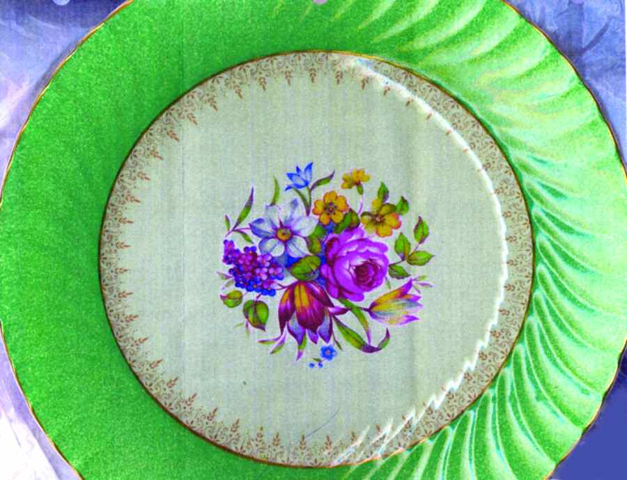 BUL55 Dinner Plate by Burgess & Leigh-1