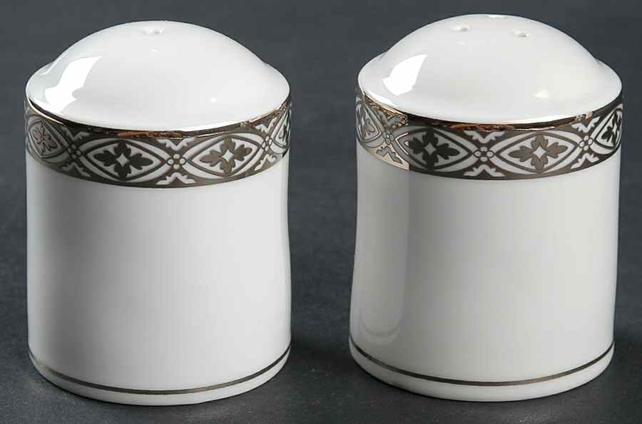 Regal Platinum Salt & Pepper Set by Biltmore for Your Home-1