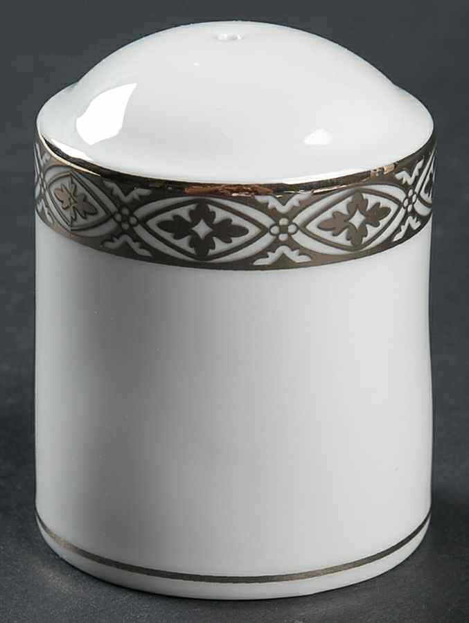 Regal Platinum Salt Shaker by Biltmore for Your Home-1