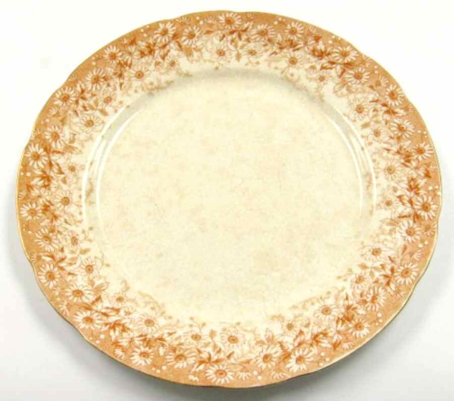 Campania Dinner Plate by T & R Boote-1