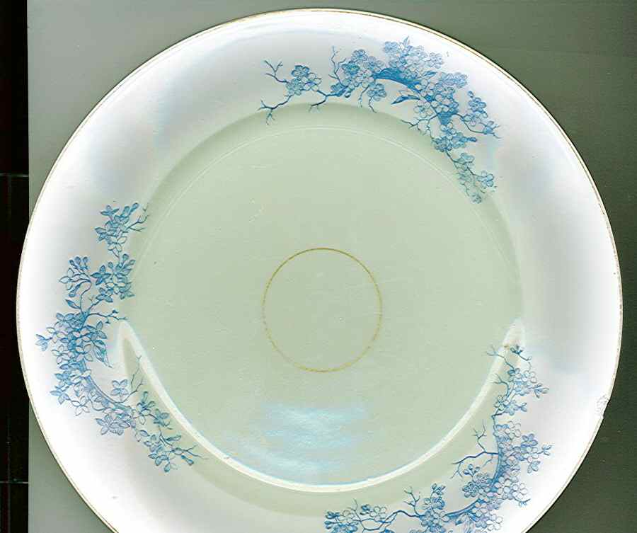 BWD587 Dinner Plate by Bawo & Dotter-1